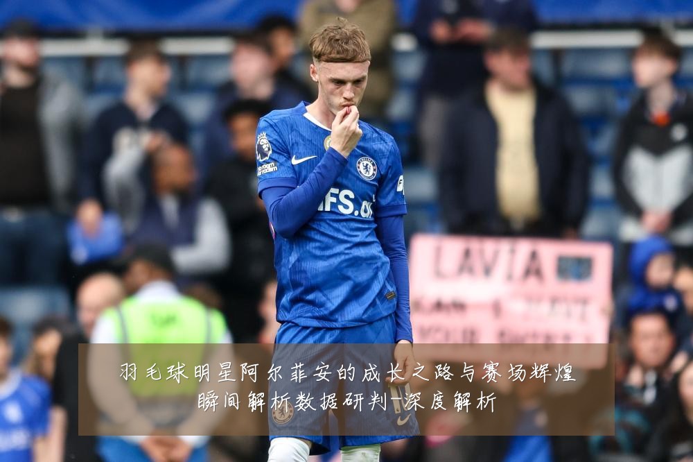 羽毛球明星阿尔菲安的成长之路与赛场辉煌瞬间解析数据研判-深度解析